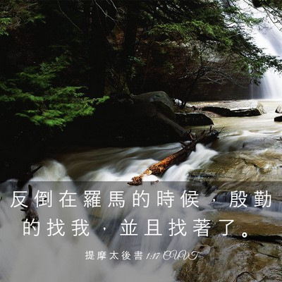 Picture 03 - 提 摩 太 後 書 1:17 CUVT - 反 倒 在 羅 馬 的 時 候 ， 殷 勤 的 - Bible Verse Picture