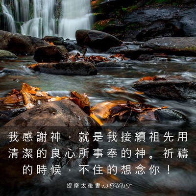 Picture 03 - 提 摩 太 後 書 1:3 CUVT - 我 感 謝 神 ， 就 是 我 接 續 祖 先 - Bible Verse Picture