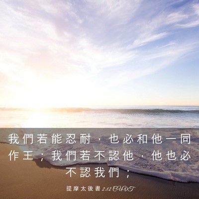 Picture 03 - 提 摩 太 後 書 2:12 CUVT - 我 們 若 能 忍 耐 ， 也 必 和 他 一 - Bible Verse Picture