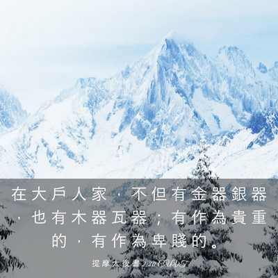 Picture 03 - 提 摩 太 後 書 2:20 CUVT - 在 大 戶 人 家 ， 不 但 有 金 器 銀 - Bible Verse Picture