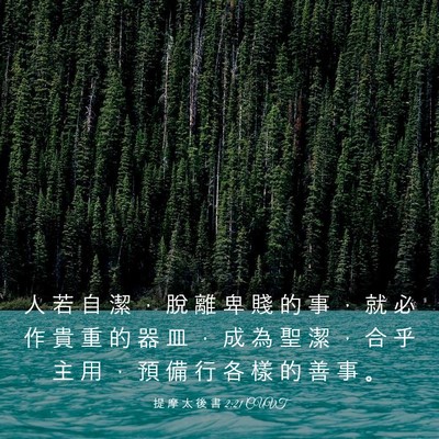 Picture 03 - 提 摩 太 後 書 2:21 CUVT - 人 若 自 潔 ， 脫 離 卑 賤 的 事 ， - Bible Verse Picture