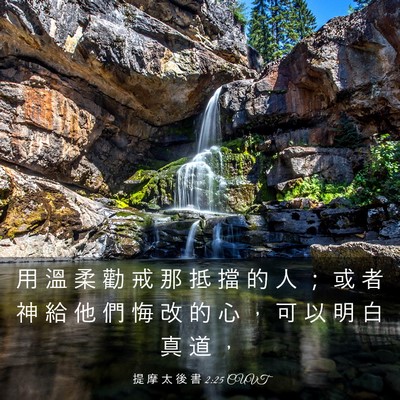 Picture 03 - 提 摩 太 後 書 2:25 CUVT - 用 溫 柔 勸 戒 那 抵 擋 的 人 ； 或 - Bible Verse Picture