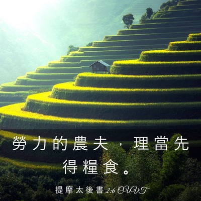 Picture 03 - 提 摩 太 後 書 2:6 CUVT - 勞 力 的 農 夫 ， 理 當 先 得 糧 食 - Bible Verse Picture