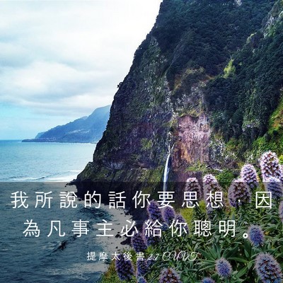 Picture 03 - 提 摩 太 後 書 2:7 CUVT - 我 所 說 的 話 你 要 思 想 ， 因 為 - Bible Verse Picture