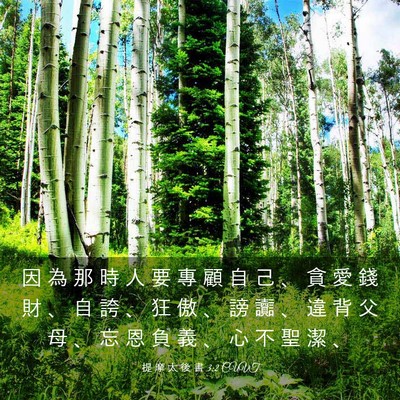 Picture 03 - 提 摩 太 後 書 3:2 CUVT - 因 為 那 時 人 要 專 顧 自 己 、 貪 - Bible Verse Picture