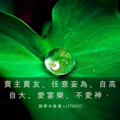 Picture 03 - 提 摩 太 後 書 3:4 CUVT - 賣 主 賣 友 、 任 意 妄 為 、 自 高 - Bible Verse Picture