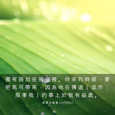 Picture 03 - 提 摩 太 後 書 4:11 CUVT - 獨 有 路 加 在 我 這 裡 。 你 來 的 - Bible Verse Picture