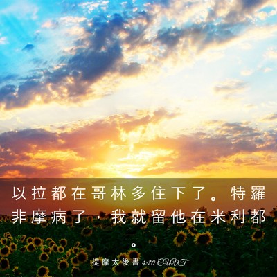 Picture 03 - 提 摩 太 後 書 4:20 CUVT - 以 拉 都 在 哥 林 多 住 下 了 。 特 - Bible Verse Picture