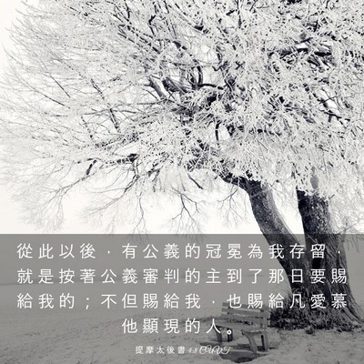 Picture 03 - 提 摩 太 後 書 4:8 CUVT - 從 此 以 後 ， 有 公 義 的 冠 冕 為 - Bible Verse Picture