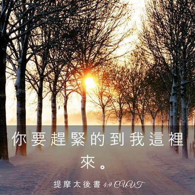 Picture 03 - 提 摩 太 後 書 4:9 CUVT - 你 要 趕 緊 的 到 我 這 裡 來 - Bible Verse Picture
