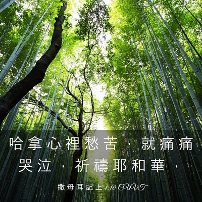 Picture 03 - 撒 母 耳 記 上 1:10 CUVT - 哈 拿 心 裡 愁 苦 ， 就 痛 痛 哭 泣 - Bible Verse Picture