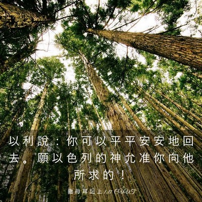 Picture 03 - 撒 母 耳 記 上 1:17 CUVT - 以 利 說 ： 你 可 以 平 平 安 安 地 - Bible Verse Picture
