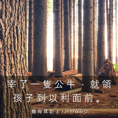 Picture 03 - 撒 母 耳 記 上 1:25 CUVT - 宰 了 一 隻 公 牛 ， 就 領 孩 子 到 - Bible Verse Picture