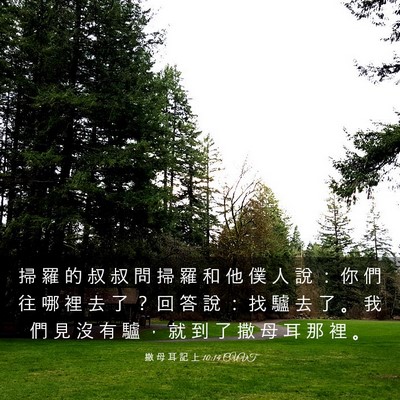 Picture 03 - 撒 母 耳 記 上 10:14 CUVT - 掃 羅 的 叔 叔 問 掃 羅 和 他 僕 人 - Bible Verse Picture