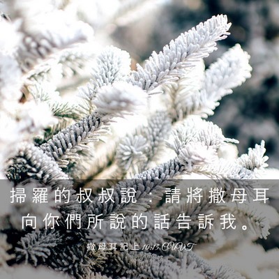 Picture 03 - 撒 母 耳 記 上 10:15 CUVT - 掃 羅 的 叔 叔 說 ： 請 將 撒 母 耳 - Bible Verse Picture