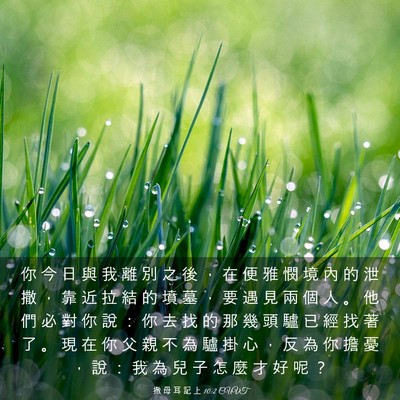 Picture 03 - 撒 母 耳 記 上 10:2 CUVT - 你 今 日 與 我 離 別 之 後 ， 在 便 - Bible Verse Picture