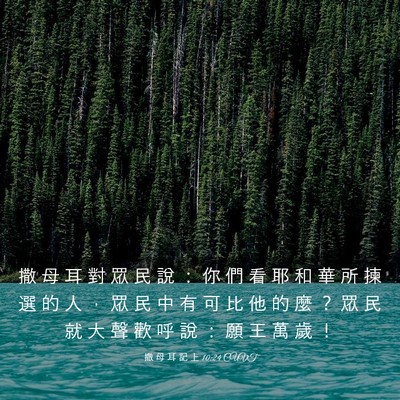 Picture 03 - 撒 母 耳 記 上 10:24 CUVT - 撒 母 耳 對 眾 民 說 ： 你 們 看 耶 - Bible Verse Picture