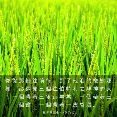 Picture 03 - 撒 母 耳 記 上 10:3 CUVT - 你 從 那 裡 往 前 行 ， 到 了 他 泊 - Bible Verse Picture