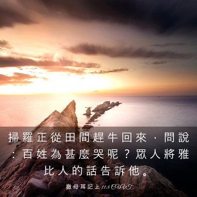 Picture 03 - 撒 母 耳 記 上 11:5 CUVT - 掃 羅 正 從 田 間 趕 牛 回 來 ， 問 - Bible Verse Picture