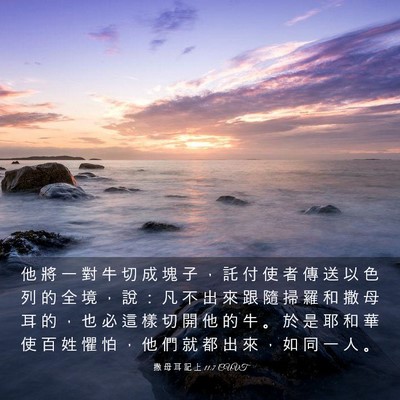 Picture 03 - 撒 母 耳 記 上 11:7 CUVT - 他 將 一 對 牛 切 成 塊 子 ， 託 付 - Bible Verse Picture