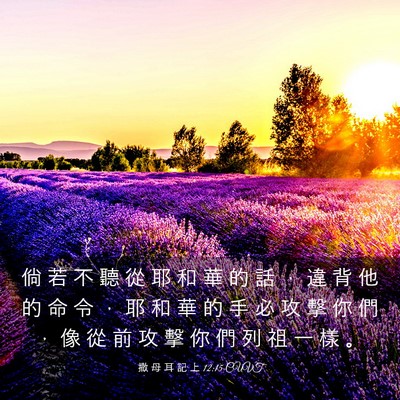 Picture 03 - 撒 母 耳 記 上 12:15 CUVT - 倘 若 不 聽 從 耶 和 華 的 話 ， 違 - Bible Verse Picture