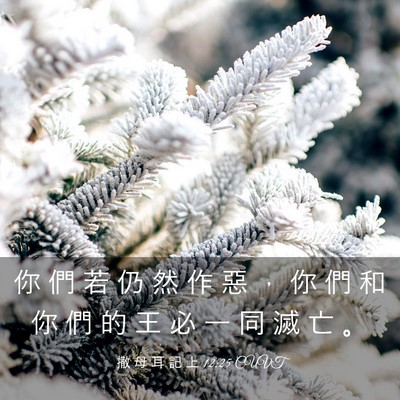 Picture 03 - 撒 母 耳 記 上 12:25 CUVT - 你 們 若 仍 然 作 惡 ， 你 們 和 你 - Bible Verse Picture