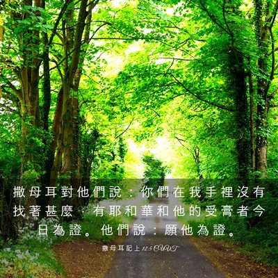 Picture 03 - 撒 母 耳 記 上 12:5 CUVT - 撒 母 耳 對 他 們 說 ： 你 們 在 我 - Bible Verse Picture
