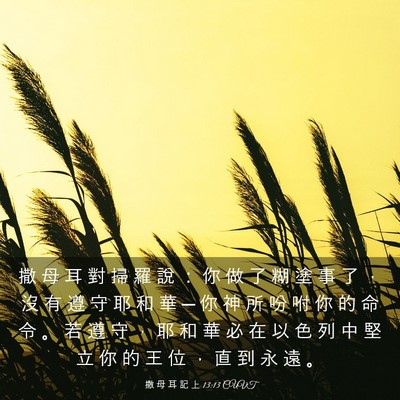 Picture 03 - 撒 母 耳 記 上 13:13 CUVT - 撒 母 耳 對 掃 羅 說 ： 你 做 了 糊 - Bible Verse Picture