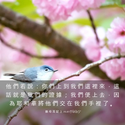 Picture 03 - 撒 母 耳 記 上 14:10 CUVT - 他 們 若 說 ： 你 們 上 到 我 們 這 - Bible Verse Picture