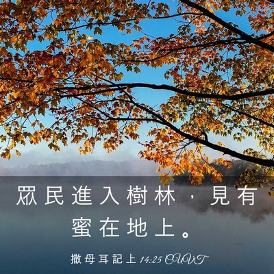 Picture 03 - 撒 母 耳 記 上 14:25 CUVT - 眾 民 進 入 樹 林 ， 見 有 蜜 在 地 - Bible Verse Picture