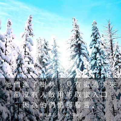 Picture 03 - 撒 母 耳 記 上 14:26 CUVT - 他 們 進 了 樹 林 ， 見 有 蜜 流 下 - Bible Verse Picture