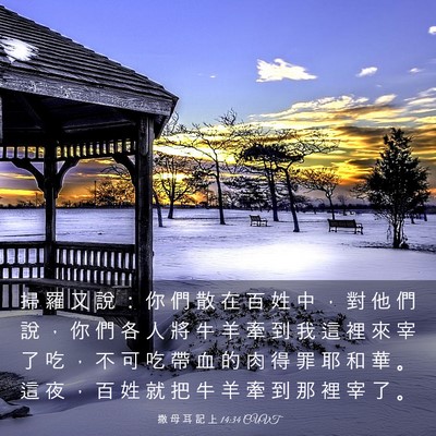 Picture 03 - 撒 母 耳 記 上 14:34 CUVT - 掃 羅 又 說 ： 你 們 散 在 百 姓 中 - Bible Verse Picture