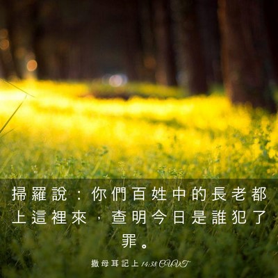 Picture 03 - 撒 母 耳 記 上 14:38 CUVT - 掃 羅 說 ： 你 們 百 姓 中 的 長 老 - Bible Verse Picture