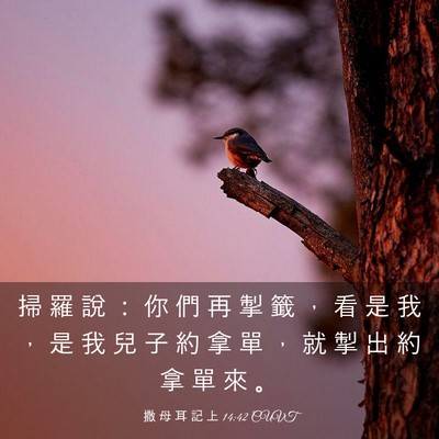 Picture 03 - 撒 母 耳 記 上 14:42 CUVT - 掃 羅 說 ： 你 們 再 掣 籤 ， 看 是 - Bible Verse Picture