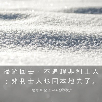Picture 03 - 撒 母 耳 記 上 14:46 CUVT - 掃 羅 回 去 ， 不 追 趕 非 利 士 人 - Bible Verse Picture