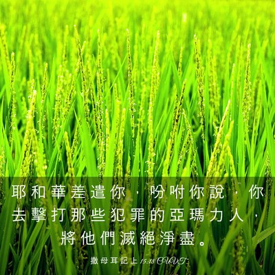 Picture 03 - 撒 母 耳 記 上 15:18 CUVT - 耶 和 華 差 遣 你 ， 吩 咐 你 說 ， - Bible Verse Picture