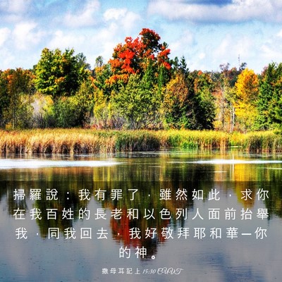Picture 03 - 撒 母 耳 記 上 15:30 CUVT - 掃 羅 說 ： 我 有 罪 了 ， 雖 然 如 - Bible Verse Picture