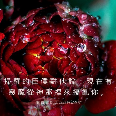 Picture 03 - 撒 母 耳 記 上 16:15 CUVT - 掃 羅 的 臣 僕 對 他 說 ： 現 在 有 - Bible Verse Picture