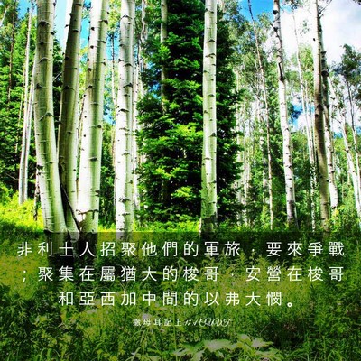 Picture 03 - 撒 母 耳 記 上 17:1 CUVT - 非 利 士 人 招 聚 他 們 的 軍 旅 ， - Bible Verse Picture