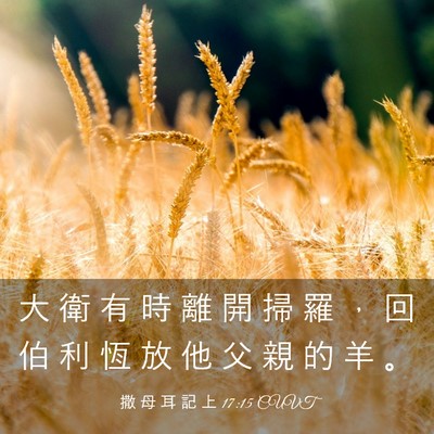 Picture 03 - 撒 母 耳 記 上 17:15 CUVT - 大 衛 有 時 離 開 掃 羅 ， 回 伯 利 - Bible Verse Picture