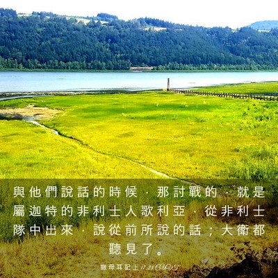 Picture 03 - 撒 母 耳 記 上 17:23 CUVT - 與 他 們 說 話 的 時 候 ， 那 討 戰 - Bible Verse Picture