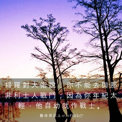 Picture 03 - 撒 母 耳 記 上 17:33 CUVT - 掃 羅 對 大 衛 說 ： 你 不 能 去 與 - Bible Verse Picture