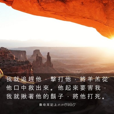 Picture 03 - 撒 母 耳 記 上 17:35 CUVT - 我 就 追 趕 他 ， 擊 打 他 ， 將 羊 - Bible Verse Picture