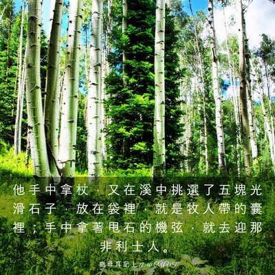 Picture 03 - 撒 母 耳 記 上 17:40 CUVT - 他 手 中 拿 杖 ， 又 在 溪 中 挑 選 - Bible Verse Picture