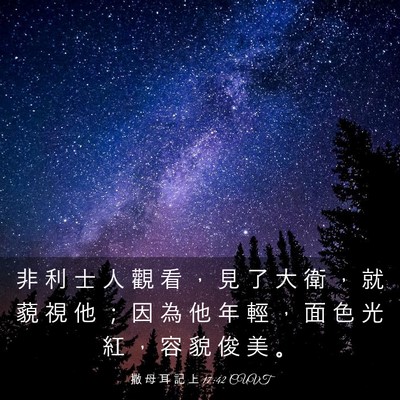 Picture 03 - 撒 母 耳 記 上 17:42 CUVT - 非 利 士 人 觀 看 ， 見 了 大 衛 ， - Bible Verse Picture