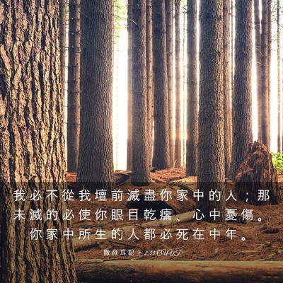 Picture 03 - 撒 母 耳 記 上 2:33 CUVT - 我 必 不 從 我 壇 前 滅 盡 你 家 中 - Bible Verse Picture