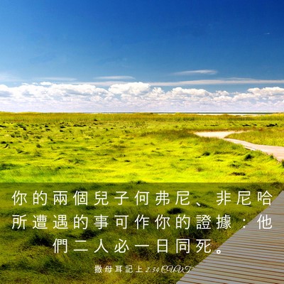 Picture 03 - 撒 母 耳 記 上 2:34 CUVT - 你 的 兩 個 兒 子 何 弗 尼 、 非 尼 - Bible Verse Picture