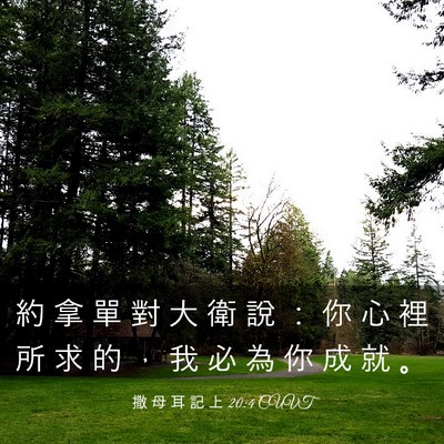Picture 03 - 撒 母 耳 記 上 20:4 CUVT - 約 拿 單 對 大 衛 說 ： 你 心 裡 所 - Bible Verse Picture