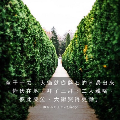 Picture 03 - 撒 母 耳 記 上 20:41 CUVT - 童 子 一 去 ， 大 衛 就 從 磐 石 的 - Bible Verse Picture