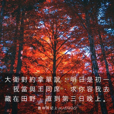 Picture 03 - 撒 母 耳 記 上 20:5 CUVT - 大 衛 對 約 拿 單 說 ： 明 日 是 初 - Bible Verse Picture